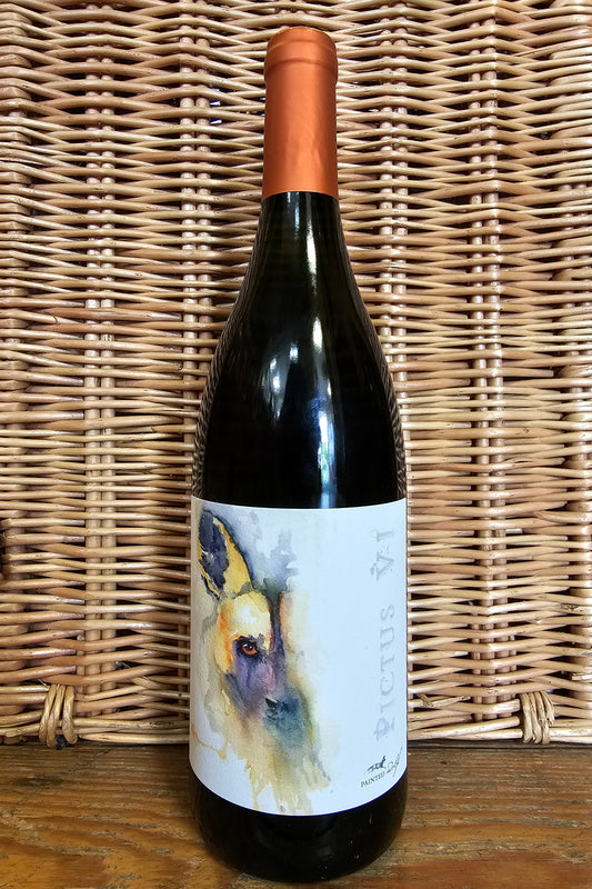 Painted Wolf, Pictus VI, 2017