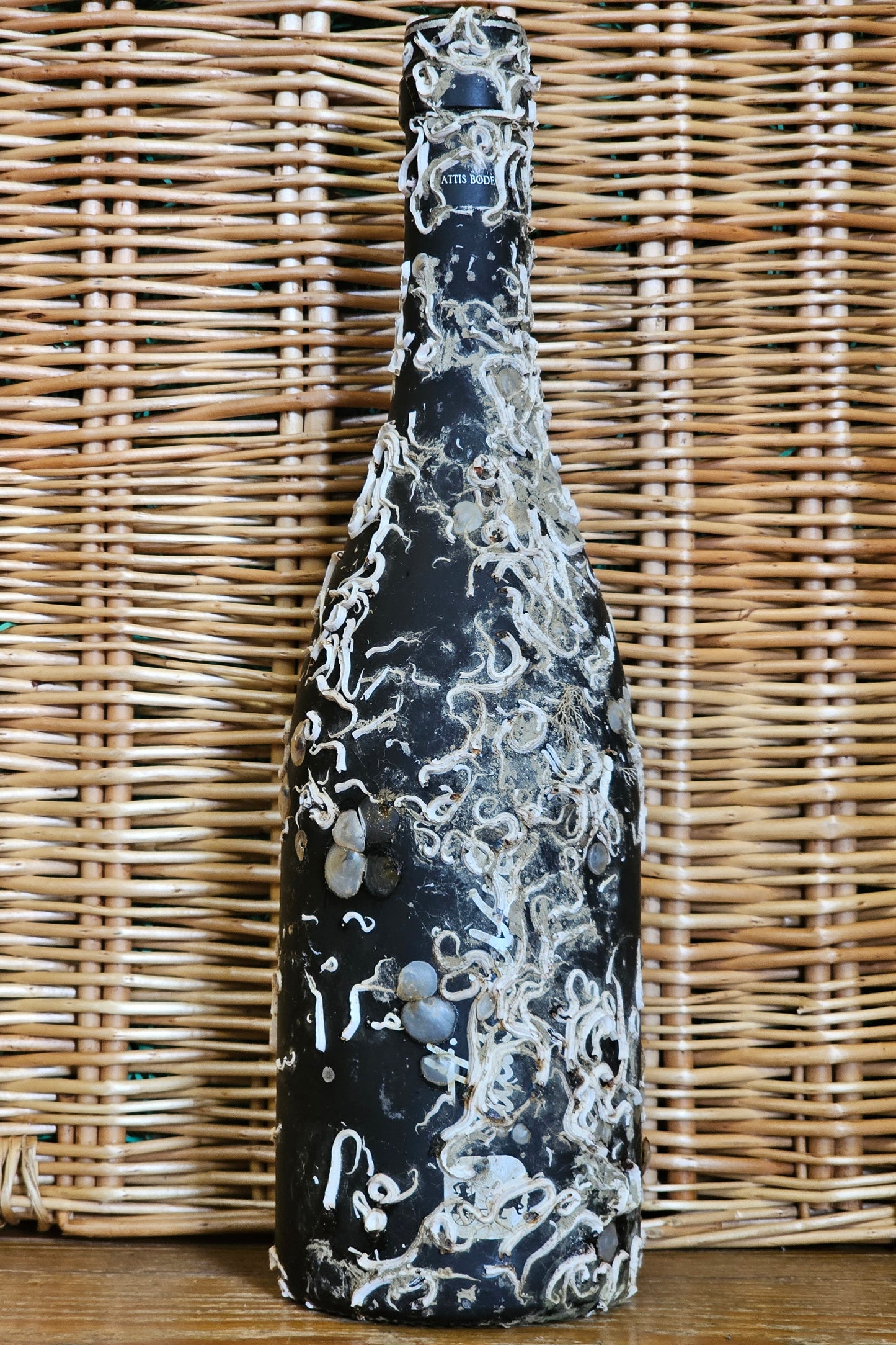 Attis, 'Mar' Albarino, Rias Baixas DO, 2023